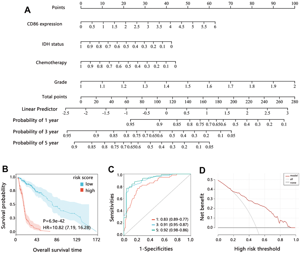 Assessment of comprehensive nomogram model. (A) Establishment of nomogram model. (B) Kaplan-Meier analysis, (C) ROC analysis; and (D) DCA analysis on the risk score from the nomogram model. Abbreviation: HR, Hazard ratio; CI, confidence interval.