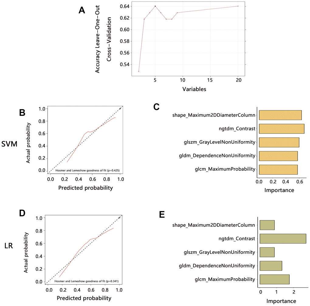 Radiomics features extraction and prediction model establishment in the training set. (A) The 5 features were finally identified by mRMR and RFE algorithms. (B) The prediction performance of the model established by SVM method. (C) Variables importance assessment in SVM model. (D) The prediction performance of the model established by LR method. (E) Variables importance assessment in SVM model. Abbreviation: SVM, Support Vector Machine; LR, Logistic regression.