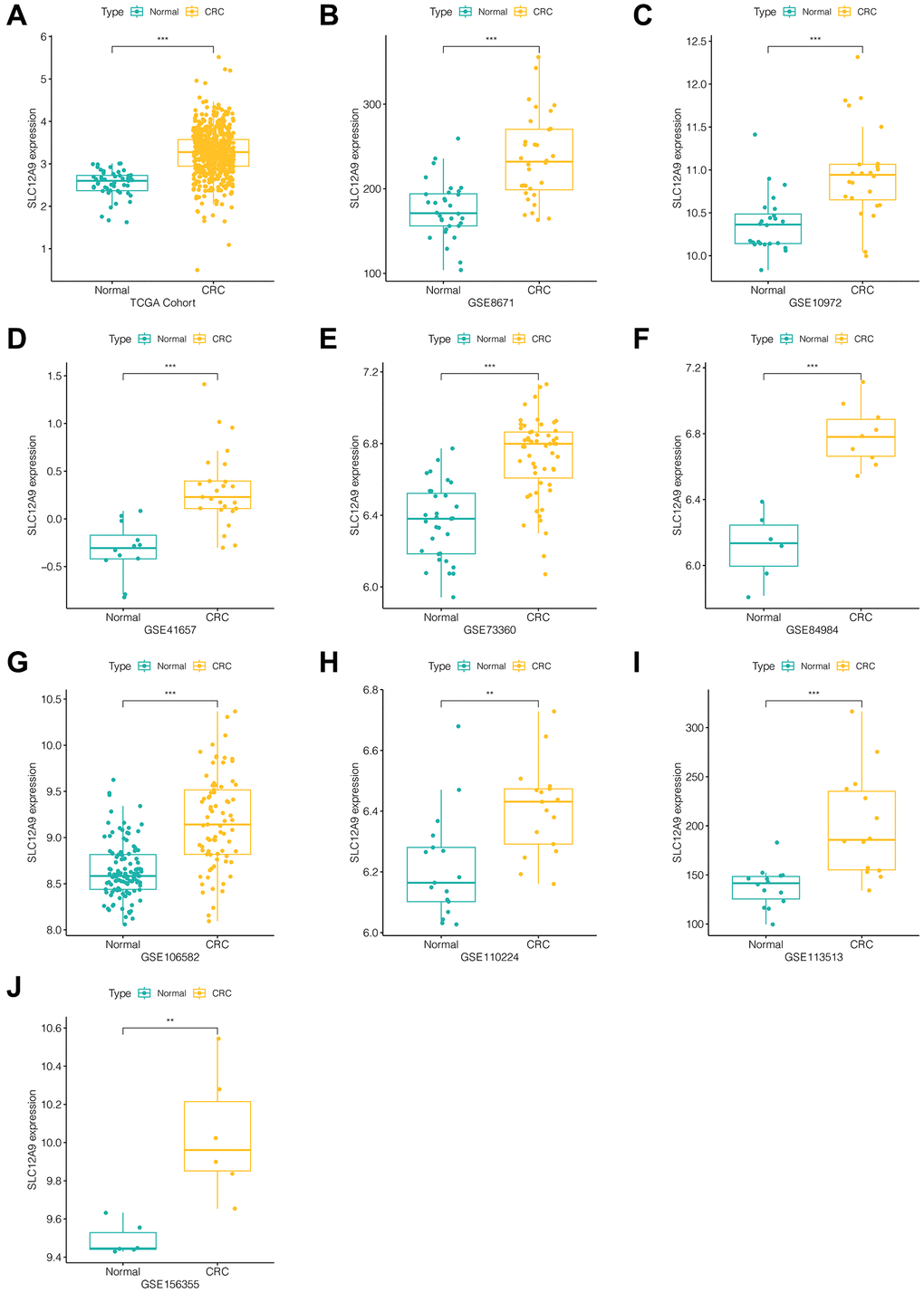 Expression of SLC12A9 in different cohorts. (A) TCGA cohort. (B) GSE8671. (C) GSE10972. (D) GSE41657. (E) GSE73360. (F) GSE84984. (G) GSE106582. (H) GSE110224. (I) GSE113513. (J) GSE156355.