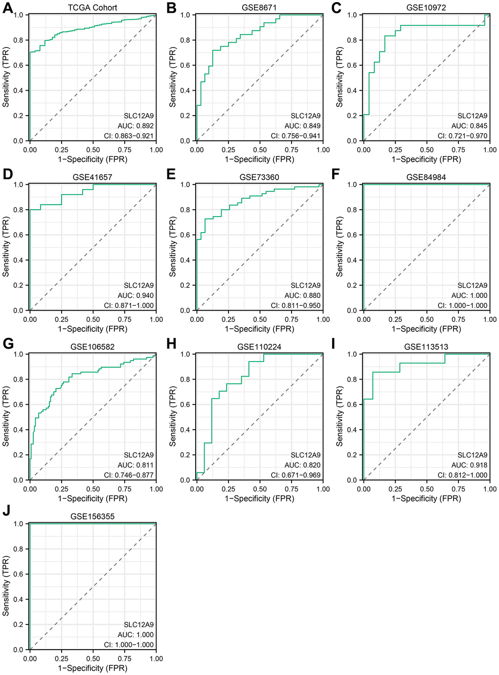 ROC curve of SLC12A9 in different cohorts. (A) TCGA cohort. (B) GSE8671. (C) GSE10972. (D) GSE41657. (E) GSE73360. (F) GSE84984. (G) GSE106582. (H) GSE110224. (I) GSE113513. (J) GSE156355.