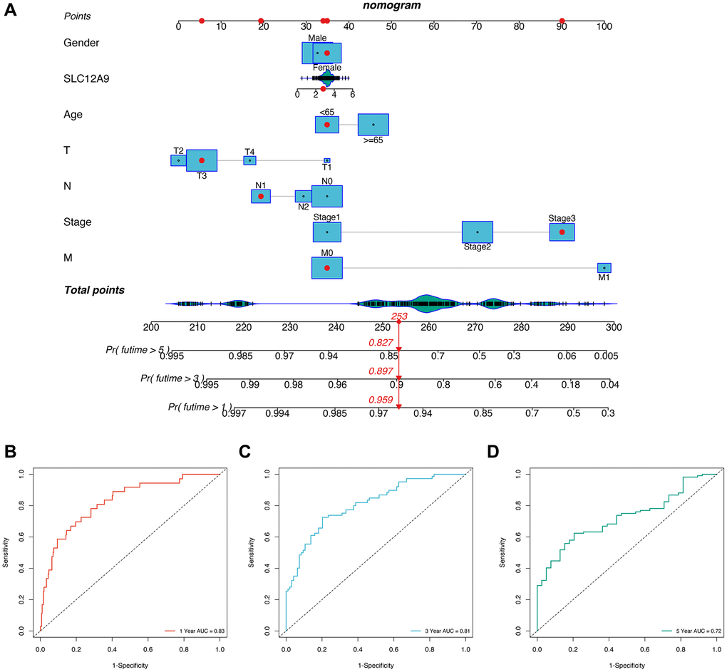 The construction of Nomogram. (A) The nomogram. (B–D) Prognostic ROC analysis in 1, 3, and 5-years.