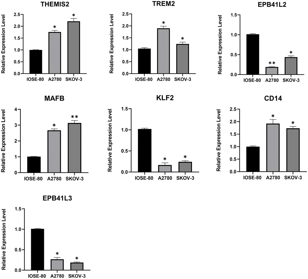 The mRNA expression levels of 7 TMAGs. Expression data were normalised to the reference genes (GAPDH), and are presented relative to the “calibrator” (IOSE-80). *P **P ***P 