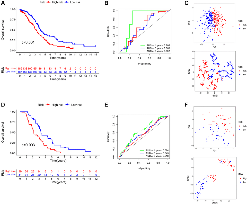 Construction and validation of a prognostic signatures model of TMAGs. (A) Kaplan-Meier survival curves for the training set. (B) ROC analysis of the training set. (C) PCA (above) and t-SNE (below) analysis of the training set. (D) Kaplan-Meier survival curves for the validation set. (E) ROC analysis of the validation set. (F) PCA (above) and t-SNE (below) analysis of the validation set.