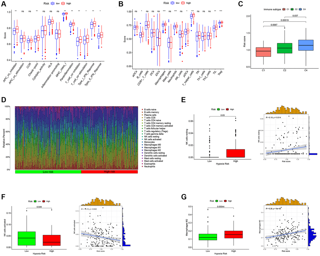 Predict the immune landscape of ovarian cancer patients. (A) Analysis of immune function between high- and low-RS. (B) Immune cell enrichment analysis between high- and low-RS. (C) The relationship between RS and immune subtypes. (D) The bar plot showing the proportion of infiltrated immune cells calculated by the CIBERSORT algorithm. (E) RS has a positive correlation with NK cells resting. (F) RS has a negative correlation with NK cells activated. (G) RS has a positive correlation with Macrophages M2.