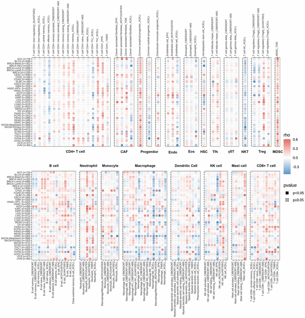 Prognostic analysis of RBMX in the pan-cancer setting. (A) Heatmap based on the univariate Cox proportional hazards regression and Kaplan–Meier models. The heatmap summarizes the correlation between RBMX expression and disease-specific survival (DSS), overall survival (OS), progression-free interval (PFI), and disease-free interval (DFI). Red and blue represent the risk and protective roles, respectively, in the prognosis of cancer. (B) Prognostic role of RBMX in the pan-cancer setting, illustrated by a forest plot based on the univariate Cox proportional hazards regression method. Red indicates the types of cancer for which RBMX was identified as significant risk factor. (C–F) Kaplan–Meier analysis indicated that higher RBMX expression was associated with worse clinical prognosis in LIHC (C) and KIRP (D). However, higher RBMX expression was predictive of better prognosis in KIRC (E) and READ (F). KIRC, kidney renal clear cell carcinoma; KIRP, kidney renal papillary cell carcinoma; LIHC, liver hepatocellular carcinoma; RBMX, RNA binding motif protein X-linked; READ, rectum adenocarcinoma.