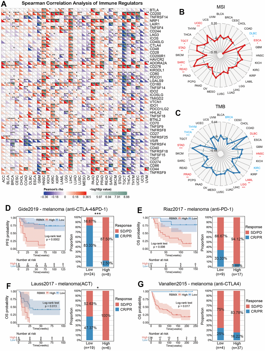 GSEA of RBMX in the pan-cancer setting. Heatmap illustrating the results of the GSEA for RBMX in the pan-cancer setting. The circle size indicates the enrichment of the false discovery rate (FDR) value in the pan-cancer setting. Red represents an increase in the normalized enrichment score (NES) in the pan-cancer setting; blue indicates the reverse. GSEA, gene set enrichment analysis; RBMX, RNA binding motif protein X-linked.