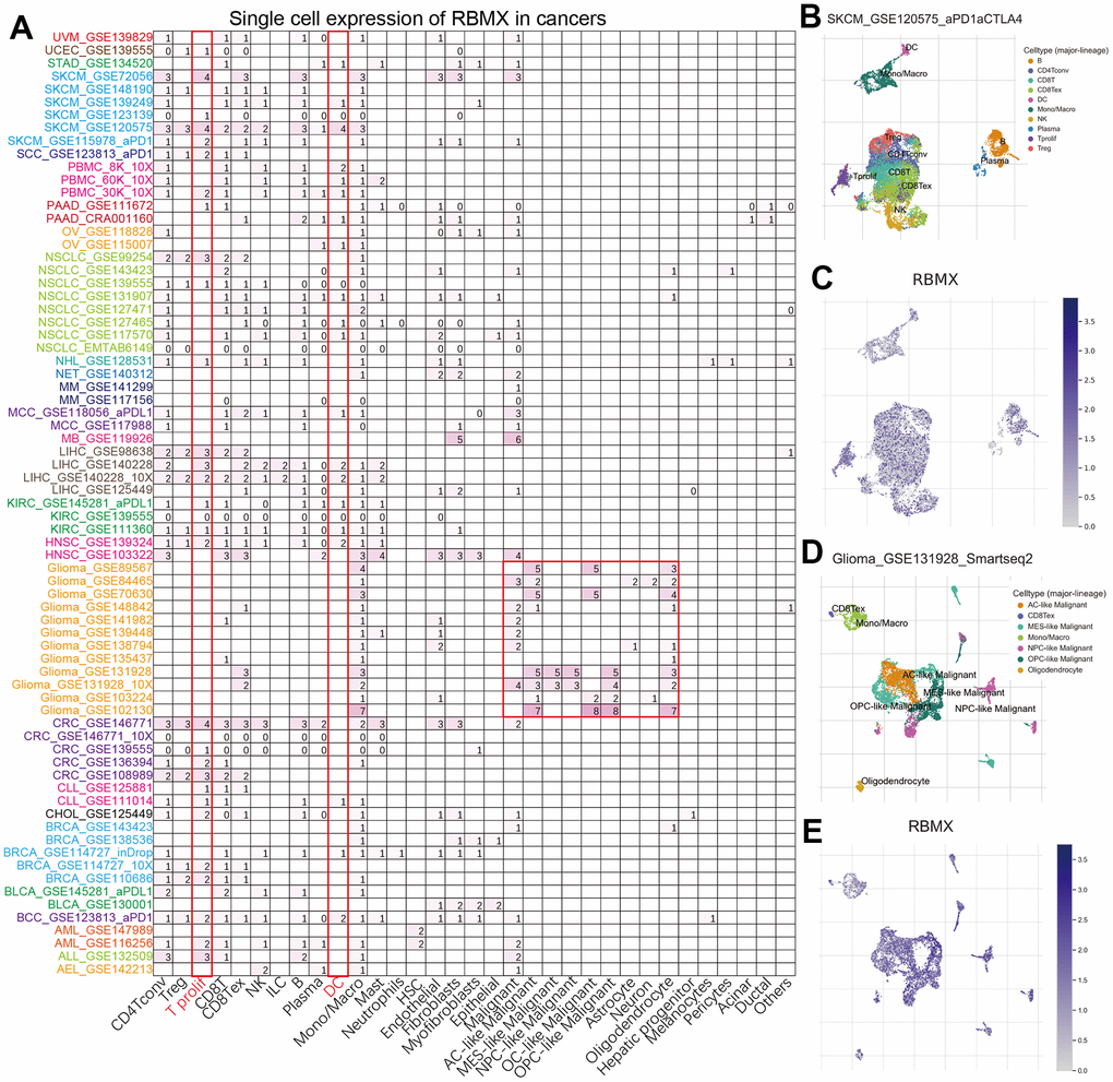 Figure Abstract. The workflow of our study.