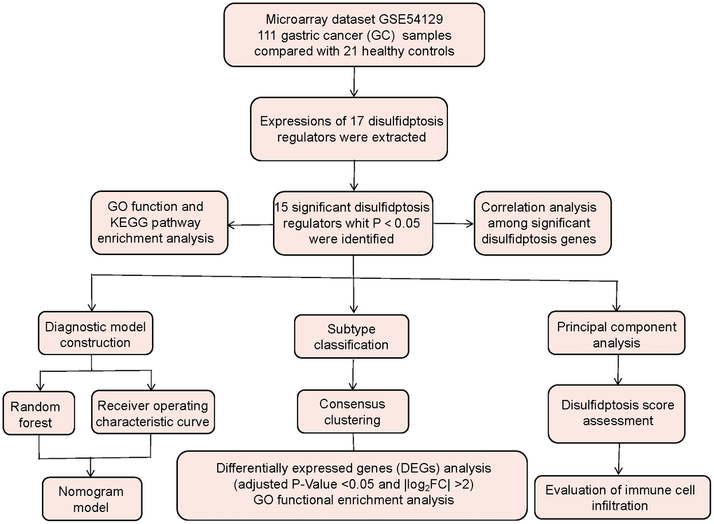 Flow chart of the study design.