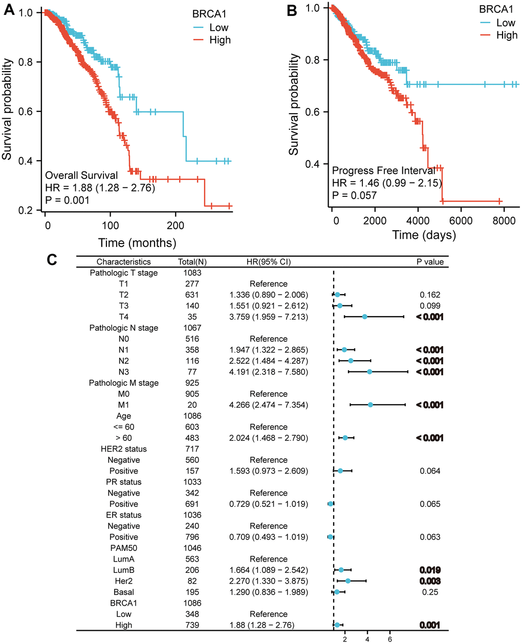 The impact of BRCA1 level on prognosis in BRCA patients was evaluated utilizing Kaplan Meier. (A) OS and (B) PFI for BRCA patients with high- vs low- BRCA1. (C) Forest map of OS with BRCA patients based on multivariate Cox analysis.