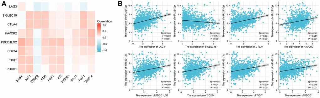 Correlation between ICGs and ETGs expression (A), and correlation between ICGs and miR-221-3p expression (B).