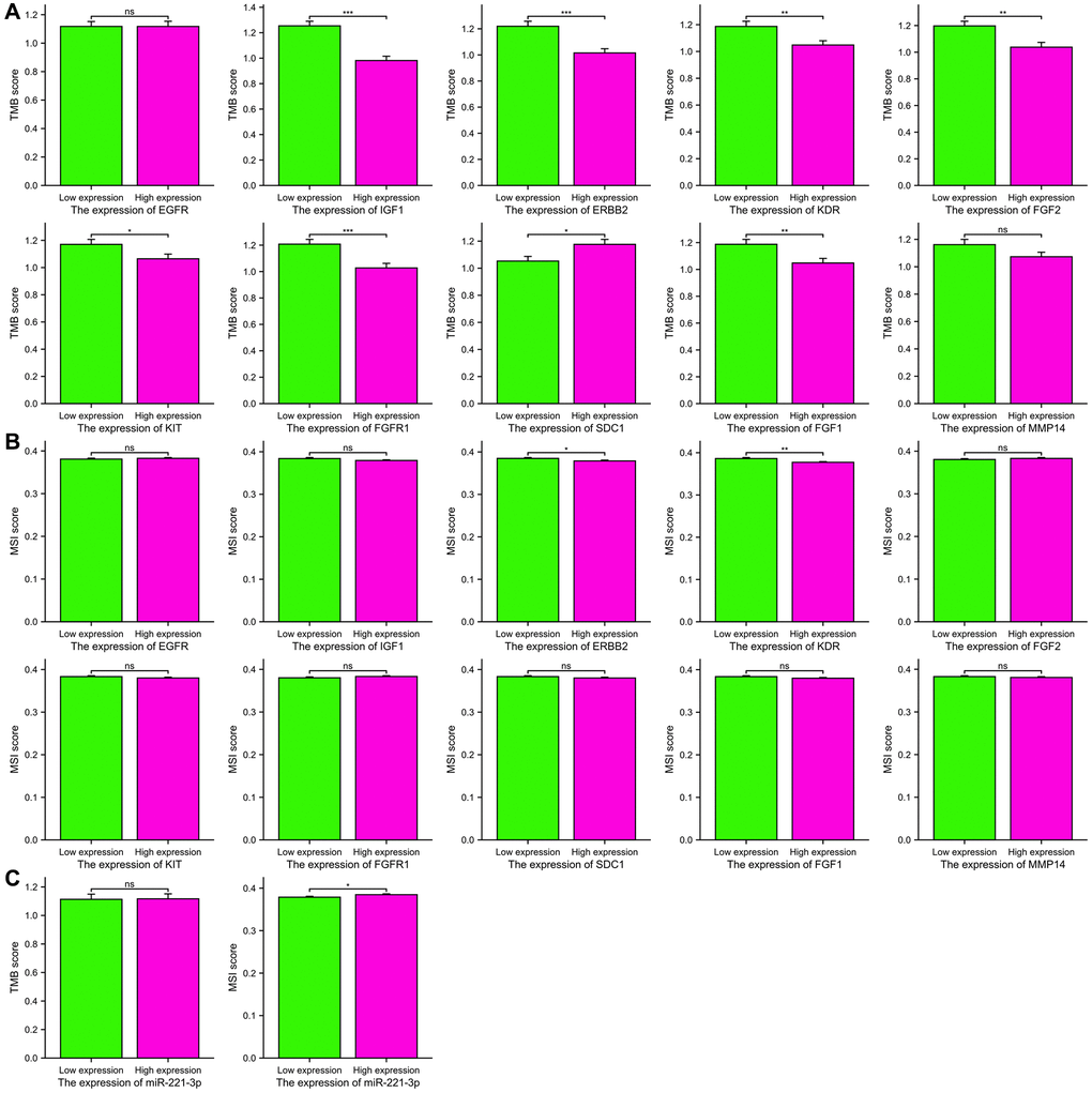 The TMB scores (A) and MSI scores (B) between the high and low expression groups of 10 ETGs. The TMB and MSI scores between the high and low expression groups of miR-221-3p (C).