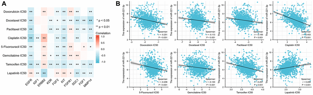 The correlation between the IC50 of 8 drugs and ETGs expression (A) and miR-221-3p expression (B).