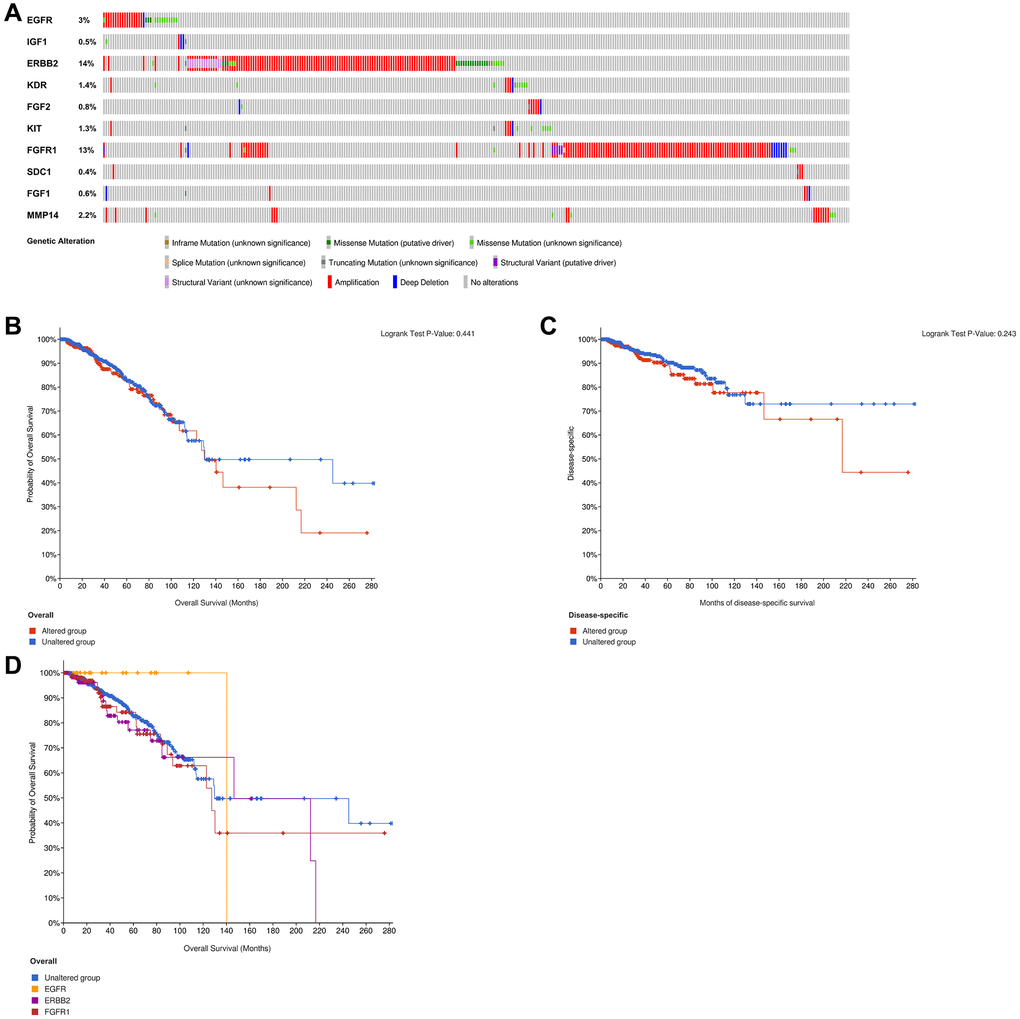 Analysis of genetic alteration of 10 ETGs (A). The KM survival curves show the OS and DSS between the ETGs altered group and the unaltered group (B, C). The KM survival curve shows the OS of the ETGs-unaltered group and the ETGs-altered groups of EGFR, ERBB2 and FGFR1 (D).