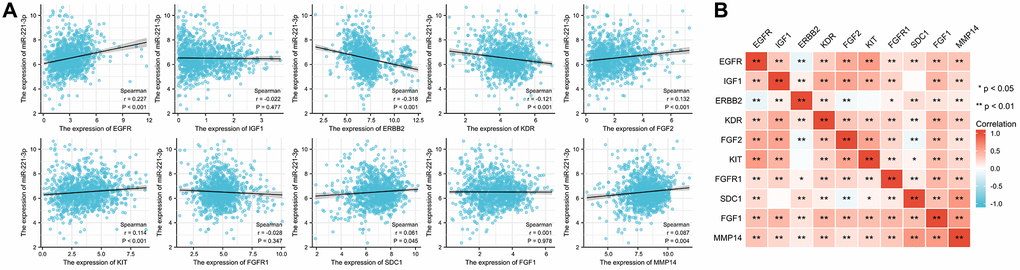 The correlation between miR-221-3p and its ETGs expression (A). The pairwise correlation among the ETGs expression (B).