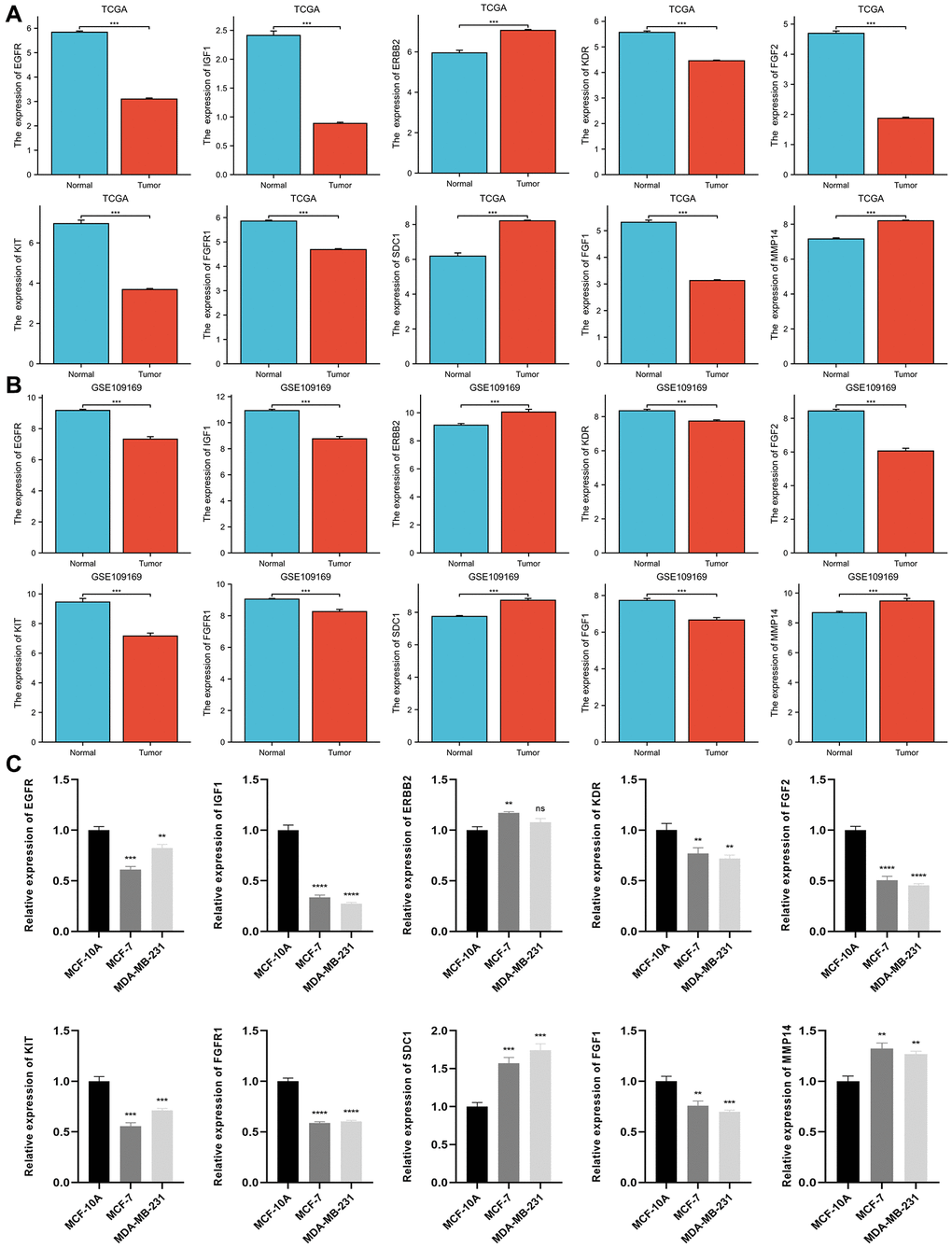 Differential expression of 10 ETGs in BC and normal adjacent tissues based on TCGA database (A) and validated by the GSE109169 dataset obtained from the GEO database (B) and cell lines (C).