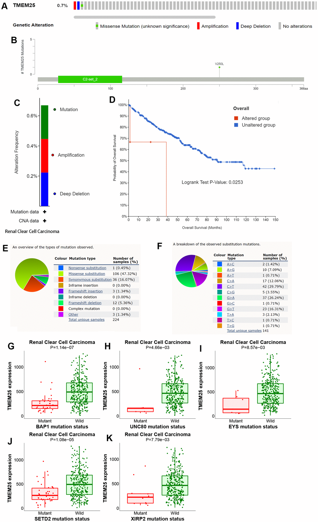 Analysis of genetic alterations of TMEM25 in ccRCC. (A–C) OncoPrint provides a comprehensive view of the TMEM25 mutation. (D) The Kaplan-Meier curves indicate differences in overall survival time between the TMEM25 mutated and unmutated groups. (E, F) The COSMIC website provides information about the types of TMEM25 gene mutations found in different types of cancer. (G–K) Mutations in BAP1, EYS, SETD2, UNC80 and XIRP2 genes alter the expression level of TMEM25.