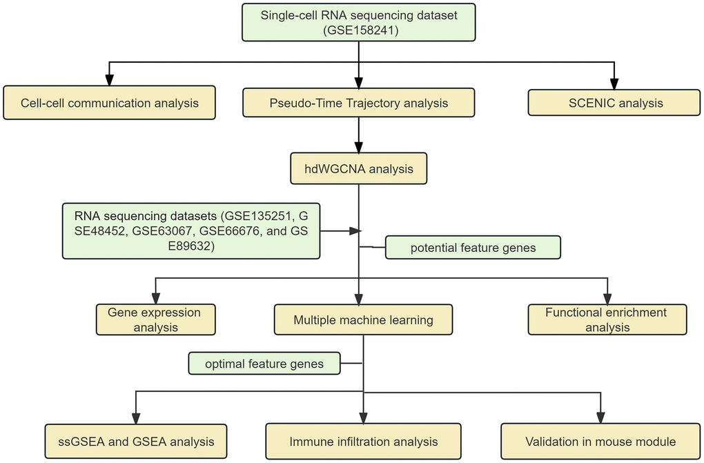 The flow chart of our analysis.