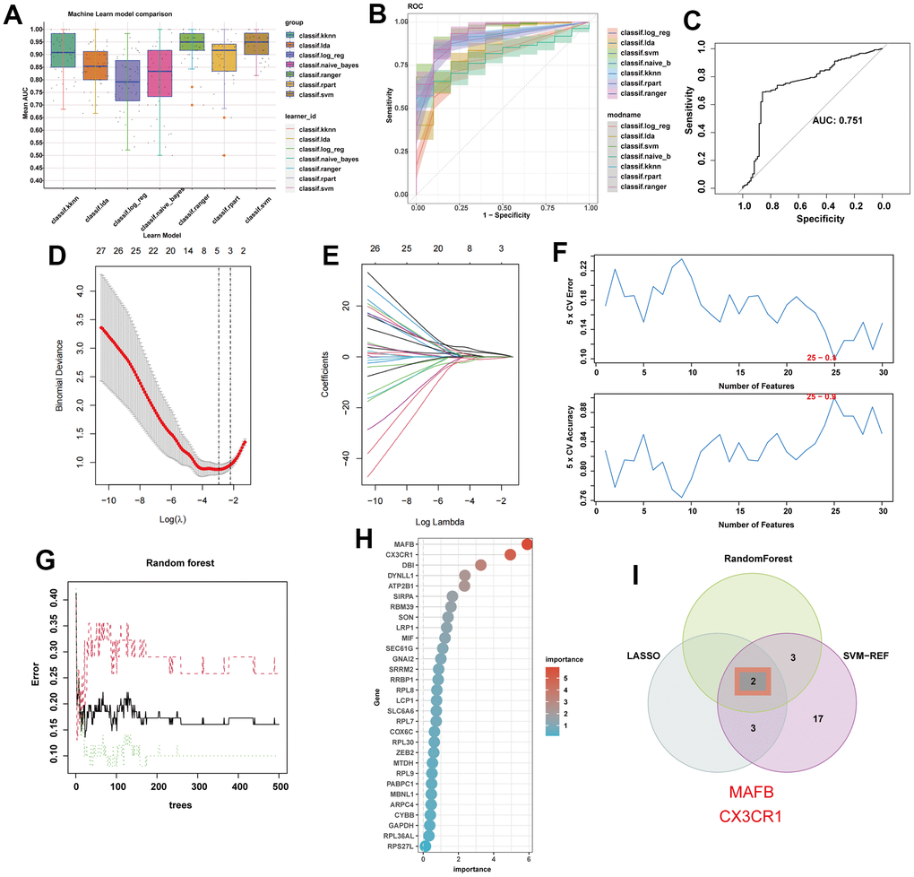 Machine learning identifies optimal feature genes of NAFLD. (A) Seven machine learning algorithms were utilized for model construction. (B) The ROC values of all seven algorithms in the training group. (C) The ROC scores of the SVM model were presented in the test group. (D) Lasso algorithm for selection features. (E) Coefficient changes of the selected features using lasso algorithm. (F) The SVM algorithm was used to further candidate optimal feature genes with the highest accuracy (the lower) and lowest error (the upper) obtained in the curves. The x-axis represents the number of feature selections, and the y-axis indicates the prediction accuracy. (G) The impact of the number of decision trees on the error rate was examined. The x-axis represents the number of decision trees, while the y-axis indicates the error rate. (H) The relative importance of potential feature genes was calculated in random forest (Top 5 genes’ importance > 2). (I) Venn diagram showing the overlap between the three algorithms.