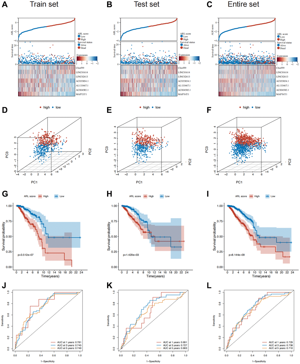 Construction and validation of the prognostic model in the train, test, and entire sets. (A–C) Distribution of ARL scores, survival status, and expression levels of the seven core lncRNAs in the train, test, and entire sets. (D–F) Results of principal component analysis (PCA) in the train, test, and entire sets. (G–I) Survival differences between the low and high ARL score groups in the train, test, and entire sets. (J–L) Results of receiver operating characteristic (ROC) analysis of the prognostic model in the train, test, and entire sets.