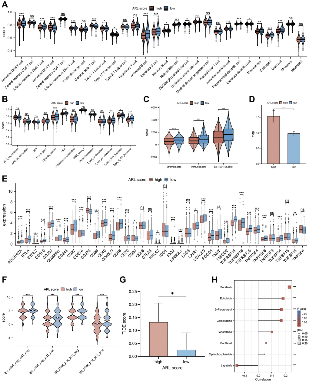 The relationship between the ARL score and immune cell infiltration, immunotherapy response, and chemotherapy sensitivity. (A) Comparison of immune cell infiltration in low versus high ARL score groups. (B) Comparison of enrichment of immune-related pathways between low versus high ARL score groups. (C) Comparison of immune and stromal scores between low versus high ARL groups. (D) Comparison of tumor mutation burden between low versus high ARL groups. (E) Comparison of expression levels of selected checkpoints between low versus high ARL score groups. (F) Comparison of immunotherapy response of PD-1 and CTLA4 between low versus high ARL score groups based on the results of immunogenomic analyses from The Cancer Immunome Atlas. (G) Comparison of immunotherapy response of PD-1 and CTLA4 between low versus high ARL score groups based on TIDE score. (H) Correlation between IC50 values of common chemotherapy drugs for breast cancer and ARL scores. Statistical significance symbols: ns, p ≥ 0.05; *p **p ***p 