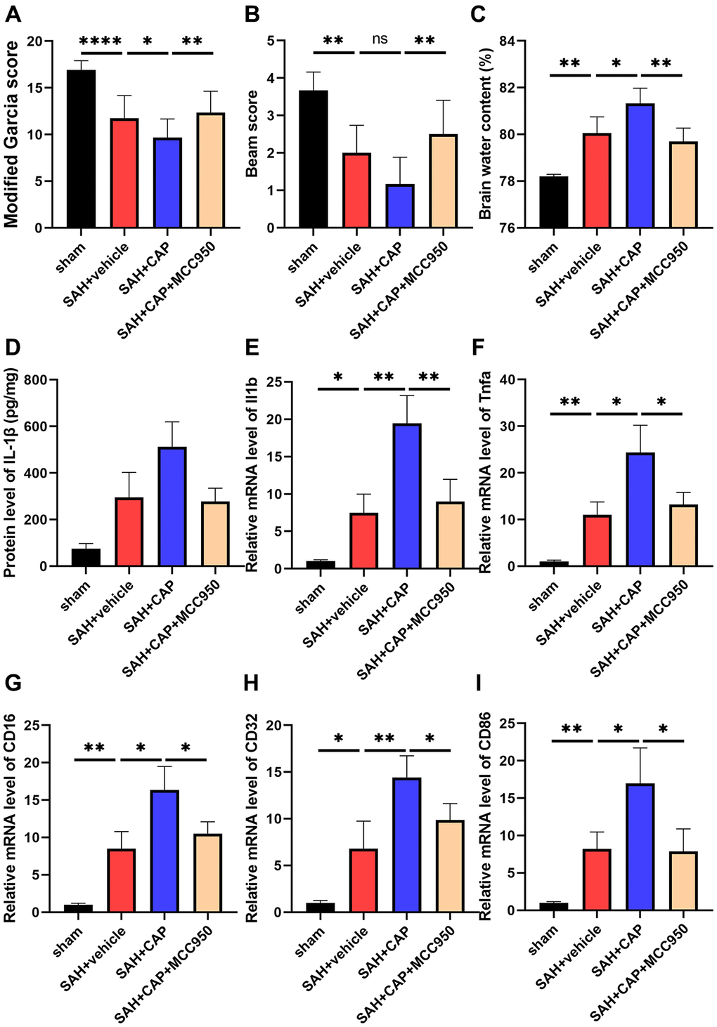 Effect of NLRP3 on TRPV1 mediated neurological dysfunction and inflammatory response at 24 h post SAH. (A, B) Neurological function was valued via modified Garcia and beam score. (C) The water content of the left hemisphere. (D) The protein level of IL-1β was assessed via ELISA. (E–I) The mRNA level of CD16, CD32, CD86, IL-1β, and TNF-α in brain tissues was assessed via qPCR. Abbreviation: no significance; *p **p ****p 