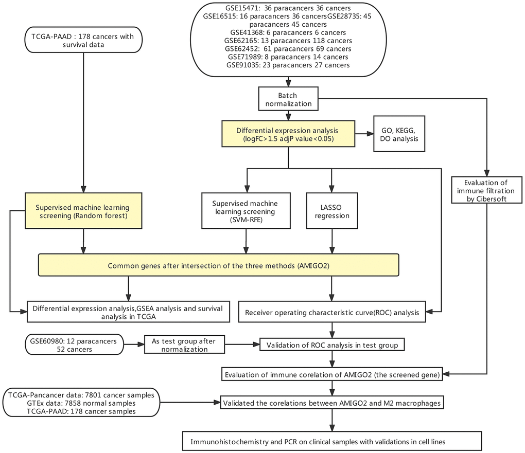 Flow chart of the current study.