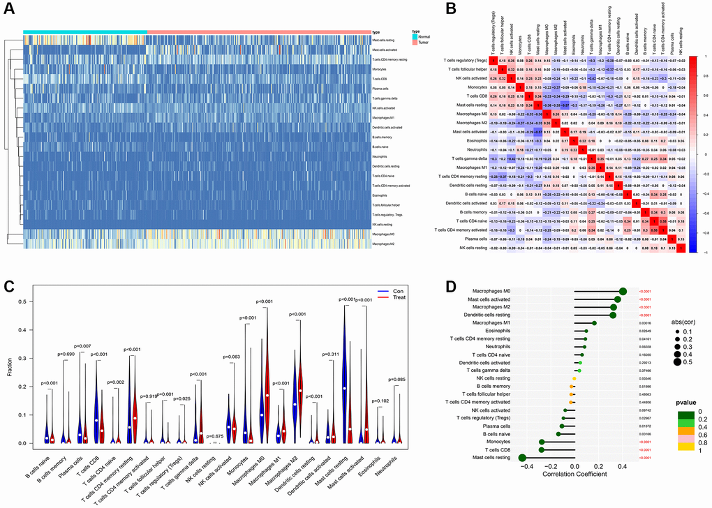 (A) The distribution of each immune subtype between normal samples and tumor samples in PDAC. (B) The correlation among each immune subtype in PDAC tumor samples in former combined GEO datasets. (C) The comparation of immune cell types between normal samples and tumor samples in different immune subtypes of PDAC in former combined GEO datasets. (D) The correlation coefficient between AMIGO2 and main immune cell types in GEO datasets.