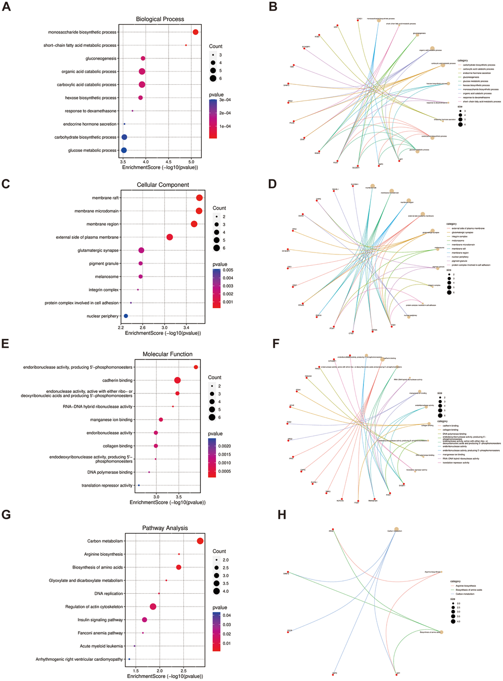 Functional enrichment based on 52 overlapped genes. (A, B) BP analysis and specific genes related to the BP terms. (C, D) CC analysis and specific genes related to the CC terms. (E, F) MF analysis and specific genes related to the MF terms. (G, H) KEGG analysis and specific genes related to these pathways. BP, biological process; CC, cellular component; MF, molecular function.