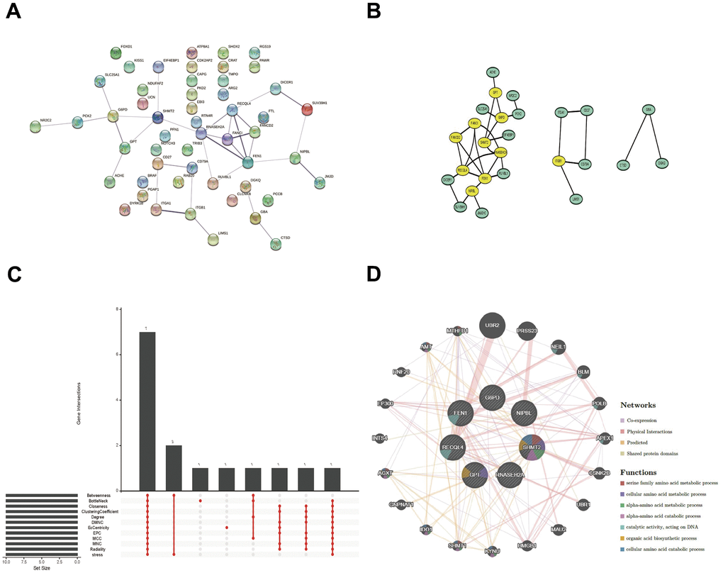 PPI network, Venn diagram, and co-expression network analysis. (A, B) The PPI network of the 52 overlapped genes through the STRING database. (C) The Venn diagram indicated that 7 hub genes were screened out by 12 algorithms. (D) Co-expression network of 7 hub genes was shown by GeneMANIA.