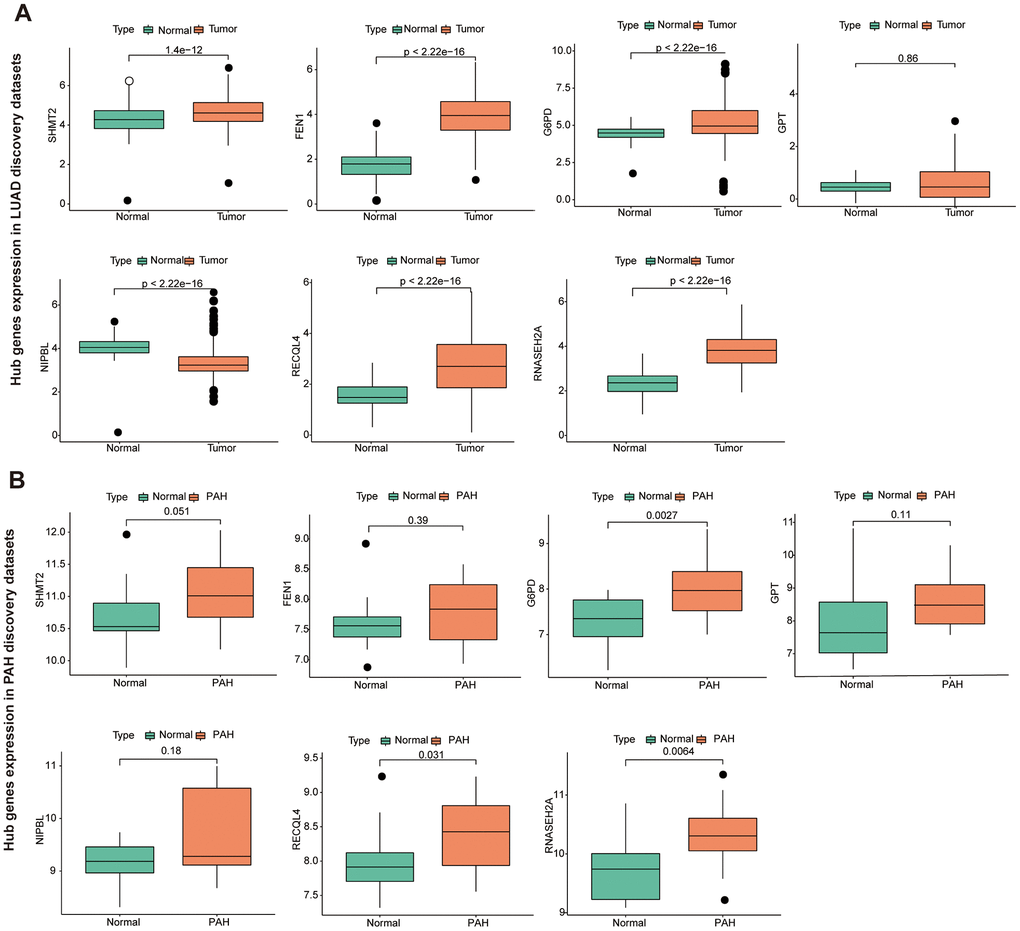 The hub genes in LUAD and PAH discovery cohorts. (A) The hub genes expression in LUAD discovery cohorts. (B) The hub genes expression in PAH discovery cohorts.