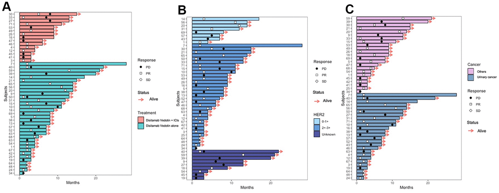 Swimmer plot of the patients receiving Disitamab Vedotin alone and combined with ICI (A). Swimmer plot of the patients with different expression levels of HER2 (B). Swimmer plot of the patients with urinary cancer and other cancers (C).