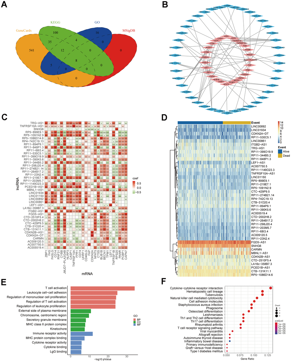 Identification of NRlncRNAs. (A) Necroptosis-related mRNA from Venn diagram. (B) Co-expression network of necroptosis-related mRNA-lncRNA. The blue part represents 42 lncRNAs, and the red part represents 27 mRNAs. (C) Heatmap of necroptosis-related mRNA-lncRNA correlation (* P ≤ 0.05, ** P ≤ 0.01, *** P ≤ 0.001). (D) Heatmap of NRlncRNA expression. (E) The top 5 results for GO enrichment of necroptosis-related mRNAs. (F) The top 20 results for KEGG enrichment of necroptosis-related mRNAs.