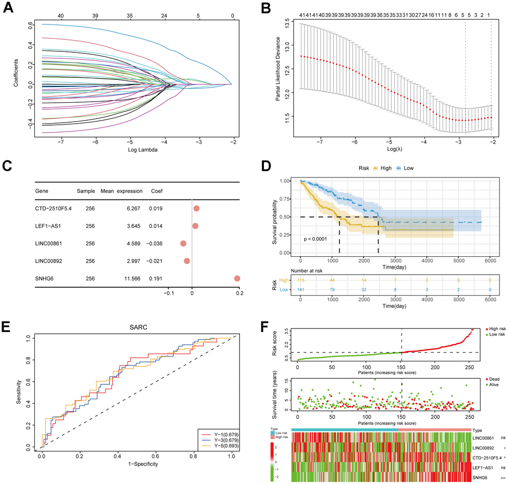 Construction of the risk model. (A) Lasso regression curve. This plot illustrated the screening of the Lasso regression for the 42 gene features. (B) Lambda value selection curve. The best lambda values of regression model were selected using this plot. (C) An analysis of prognostic risk genes by the forest plot. (D) The survival curve of patients. (E) ROC curves for the risk model. (F) The triple risk plot. The first diagram was the predicted risk values for each patient. The second diagram showed the relationship between the patients ranked by the predicted risk values and the survival status. The third diagram illustrated the relationship between lncRNA expressions (* P ≤ 0.05; ** P ≤ 0.01; *** P ≤ 0.001; ns, no significance).