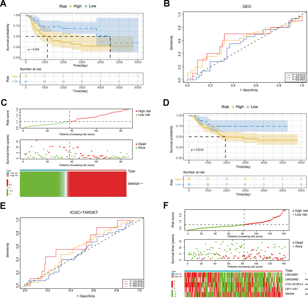 Verification of the risk model. (A) Survival curves of patients in the GEO cohort. (B) ROC curves in the GEO cohort. (C) The triple risk plot in the GEO cohort (* P ≤ 0.05; ** P ≤ 0.01; *** P ≤ 0.001; ns, no significance). (D) Survival curves of patients in the ICGC and TARGET cohorts. (E) ROC curves in the ICGC and TARGET cohorts. (F) The triple risk plot in the ICGC and TARGET cohorts (* P ≤ 0.05; ** P ≤ 0.01; *** P ≤ 0.001; ns, no significance).