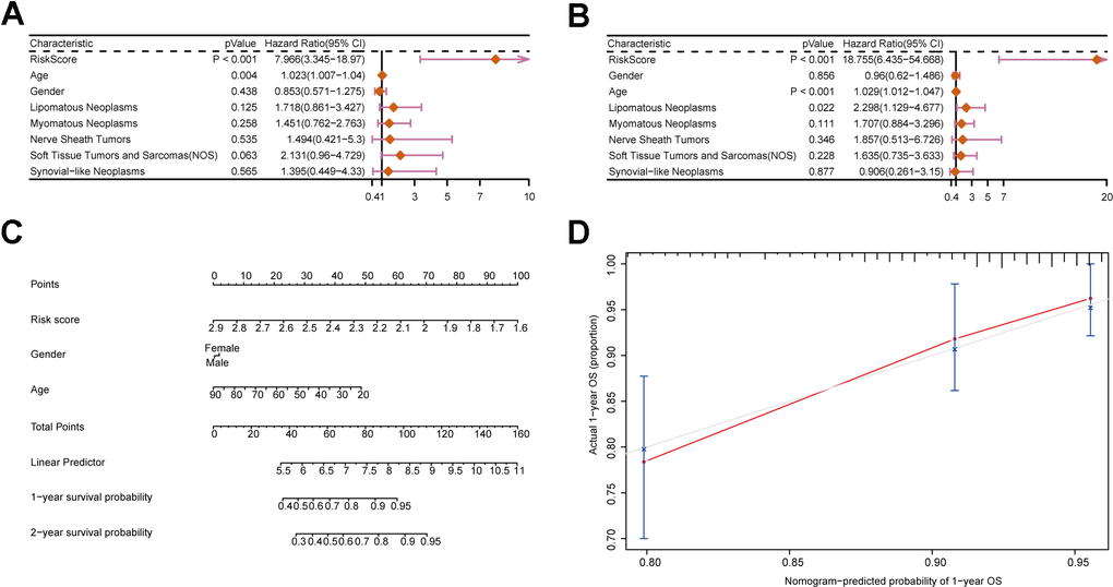 Construction of a nomogram incorporating clinical characteristics. (A, B) Forest plots displaying clinical characteristics and risk scores. (C) Nomogram of sarcoma patients. (D) Calibration curve for the nomogram.