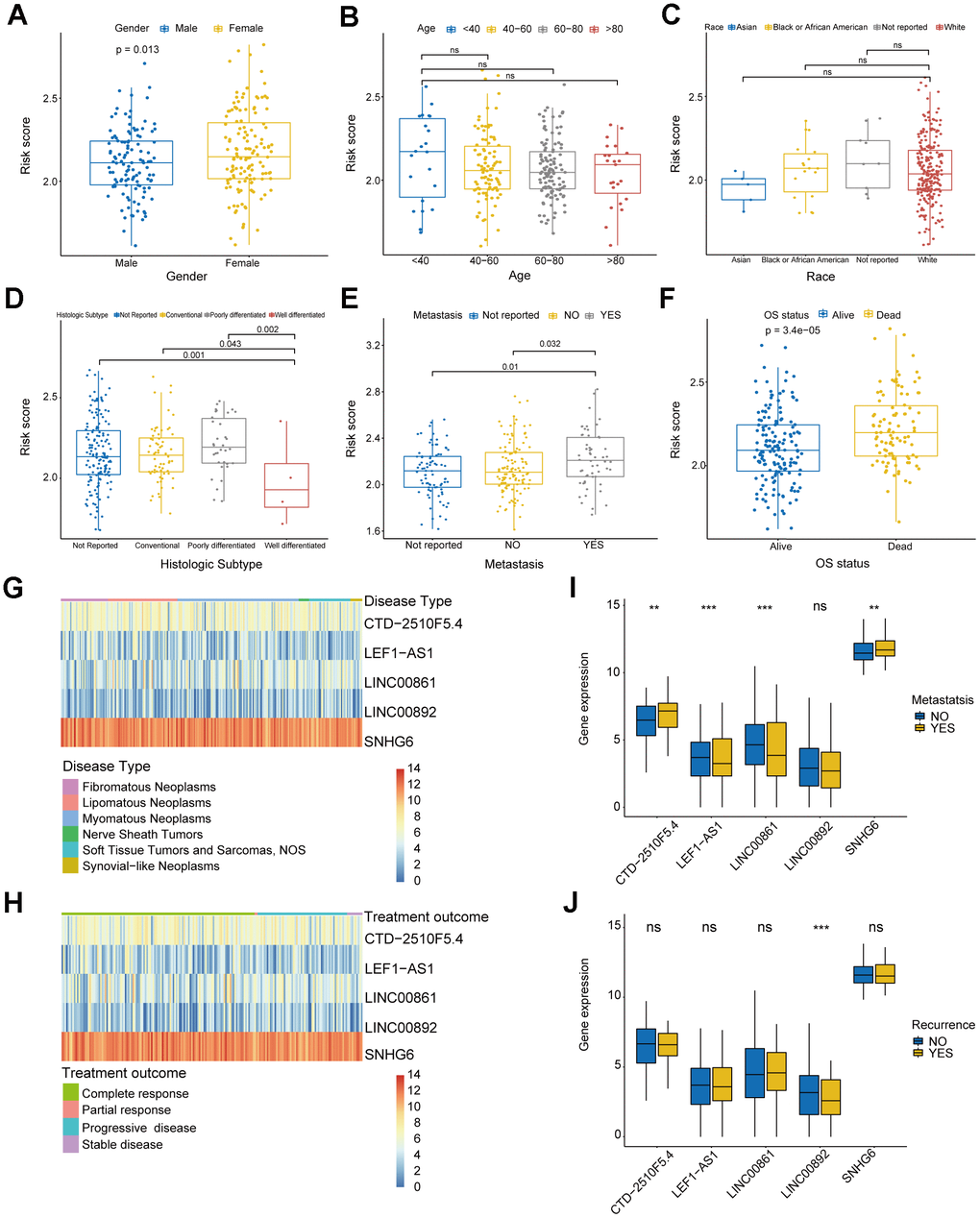 Analysis of clinical characteristics in risk model. (A) Box plot displaying the gender group and risk score. (B) Box plot displaying the age group and risk score. (C) Box plot displaying the race group and risk score. (D) Box plot displaying the histologic subtype group and risk score. (E) Box plot displaying the metastatic status group and risk score. (F) Box plot displaying the OS status group and risk score. (G, H) Heatmaps of correlation between risk genes and disease type and treatment outcome. (I, J) Box plots of correlation between risk genes and metastatic status and recurrence. (* P ≤ 0.05; ** P ≤ 0.01; *** P ≤ 0.001; ns, no significance).