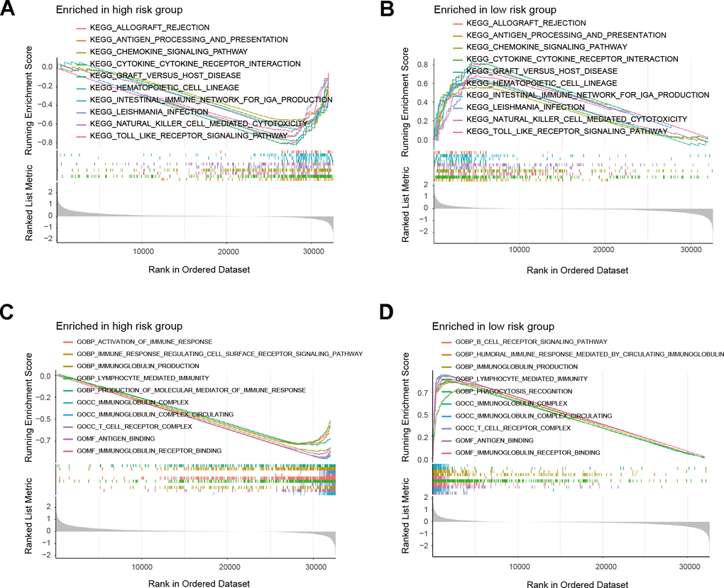 GSEA results of risk model. (A, B) Top 10 results for KEGG enrichment of patients in the risk model. (C, D) Top 10 results for GO enrichment of patients in the risk model.