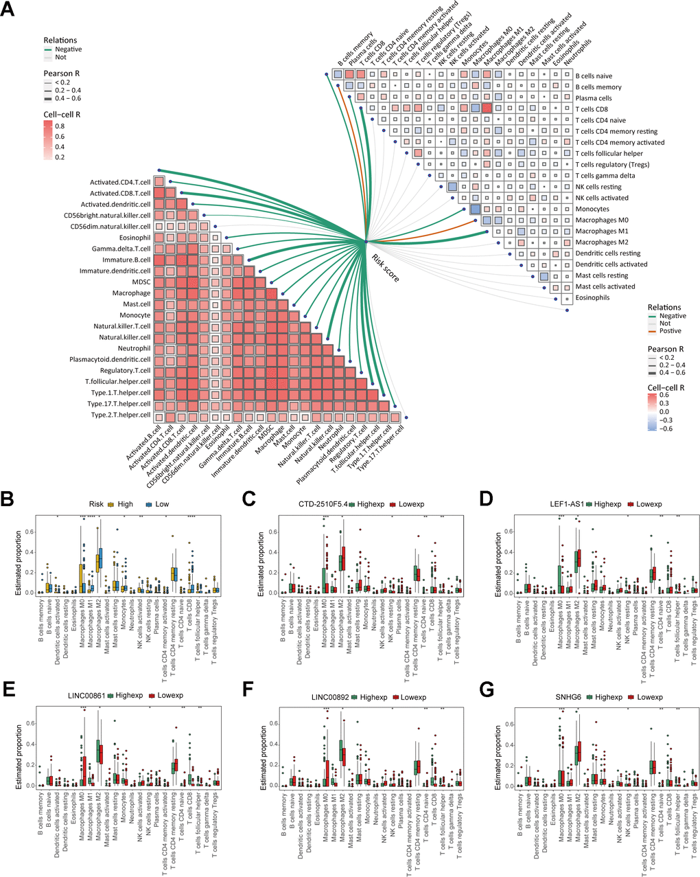 Analysis of immune cell infiltration in the risk model. (A) The correlation between risk score and immune cells. (B) Box plot displaying the differences in immune cell infiltration levels of risk model (* P ≤ 0.05; ** P ≤ 0.01; *** P ≤ 0.001; ns, no significance). (C–G) Box plot displaying the differences in immune cell infiltration levels of risk genes (* P ≤ 0.05, ** P ≤ 0.01; *** P ≤ 0.001; ns, no significance).