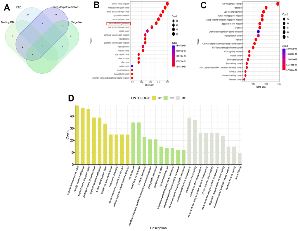 Analysis of drug targets. (A) Venn diagram of drug targets; (B) DO analysis; (C) KEGG analysis; (D) GO analysis.