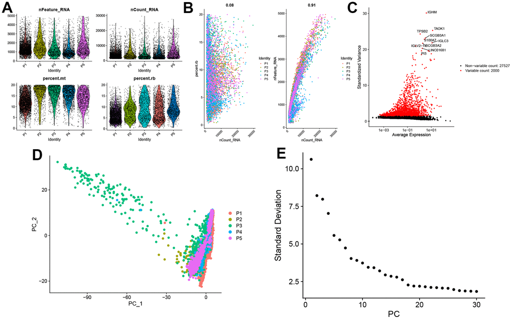 Single-cell sequencing data quality control and dimensionality reduction. (A) Relationship between mRNA/UMI/mitochondrial content/rRNA content of each sample after filtration. (B) The relationship between rRNA and UMI, and the relationship between mRNA and UMI; (C) The volcano map of the top 2000 hypervariable genes; (D) PCA dimensionality reduction sample distribution map; (E) PCA anchor point map.