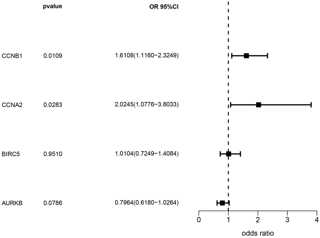 Analysis results of SMR.