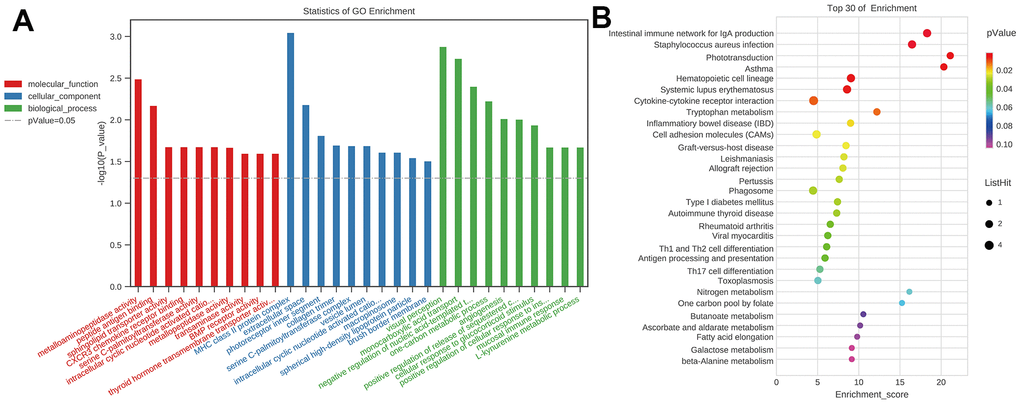 GO and KEGG analysis of the mRNAs in ceRNA network. (A) GO analysis, p-Value=0.05 as the threshold of significant enrichment. Red represented molecular function, blue represented cellular component, green represented biological process, the x-axis represented different terms, y-axis –log10(P-value); (B) KEGG analysis, the x-axis represented enrichment score, y-axis represented different pathways. [(Con group, n=3), (2VO group, n=3)].