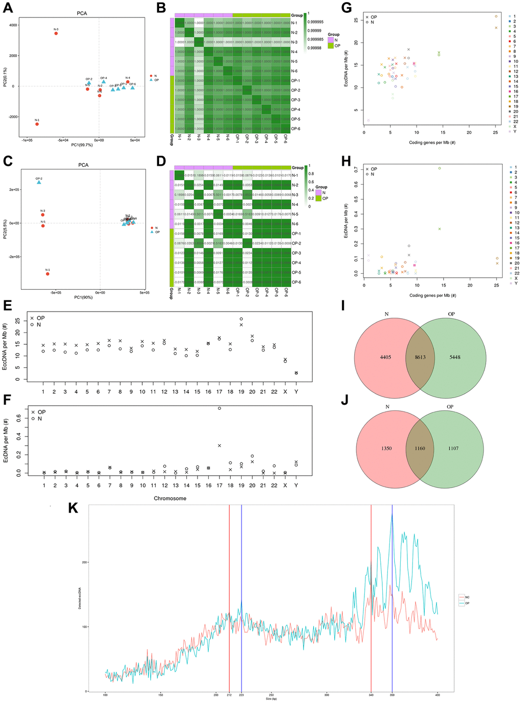 Sample correlation analysis and comparison of distribution patterns of eccDNAs between osteoporosis and matched normal bone tissue. (A, B) PCA and Pearson correlation coefficients based on the profile of eccDNAs of 12 samples. (C, D) PCA and Pearson correlation coefficients base on the profile of ecDNAs of 12 samples. (E–H) Ratio of eccDNAs or ecDNAs/Mb and coding genes/Mb in each chromosome. (I, J) Venn diagram of eccDNAs/ecDNAs detected in the OP and N groups. (K) Length distribution of eccDNAs in the OP and N groups.