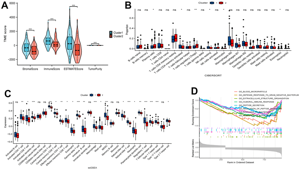 Comparative analysis of immune characteristics between two clusters. (A) Expression level of stromal score, immune score, ESTIMATE score and tumor purity between the Cluster 1 and Cluster 2. (B) Comparison of immune cell proportions and (C) expression of immune cells between the two clusters. (D) Comparative analysis of functional enrichment. ns, not significant, *P P P 