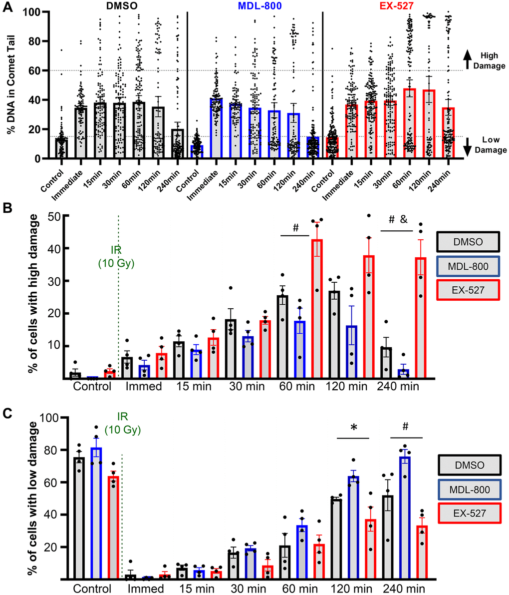 Effect of SIRT6 modulation on chondrocyte repair efficiency. (A) Plots show all individual cells of a representative donor treated with DMSO, MDL-800, or EX-527. (B) The percentage of cells with high levels of DNA damage (>60% of DNA in comet tails). (C) The percentage of cells with low levels of DNA damage (p *) = DMSO vs. MDL, (#) = MDL vs. EX, (&) = DMSO vs. EX).