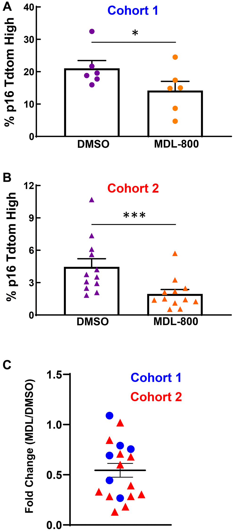 SIRT6 activation limits senescence burden in murine cartilage explants. (A) Femoral cap cartilage was obtained from each hindlimb of 3-week-old p16tdTom mice and cultured for three weeks under senescence inducing conditions with either 20 μM MDL-800 or DMSO control. Analysis of the percentage of cells positive for tdTomato performed by flow cytometry. Data from Cohort 1 were normally distributed by Shapiro-Wilk and thus paired t-test was applied. (B) Same as panel A but a different cohort of mice. Data from cohort 2 were not normally distributed by Shapiro-Wilk and thus Wilcoxon matched-pairs signed rank test was applied. (C) For each mouse (blue circles: cohort 1; red triangles: cohort 2), the percentage of tdTomato-positive cells in the MDL explant was normalized to the DMSO explant. Asterisks denote statistical significance, with *p ***p = 0.001.