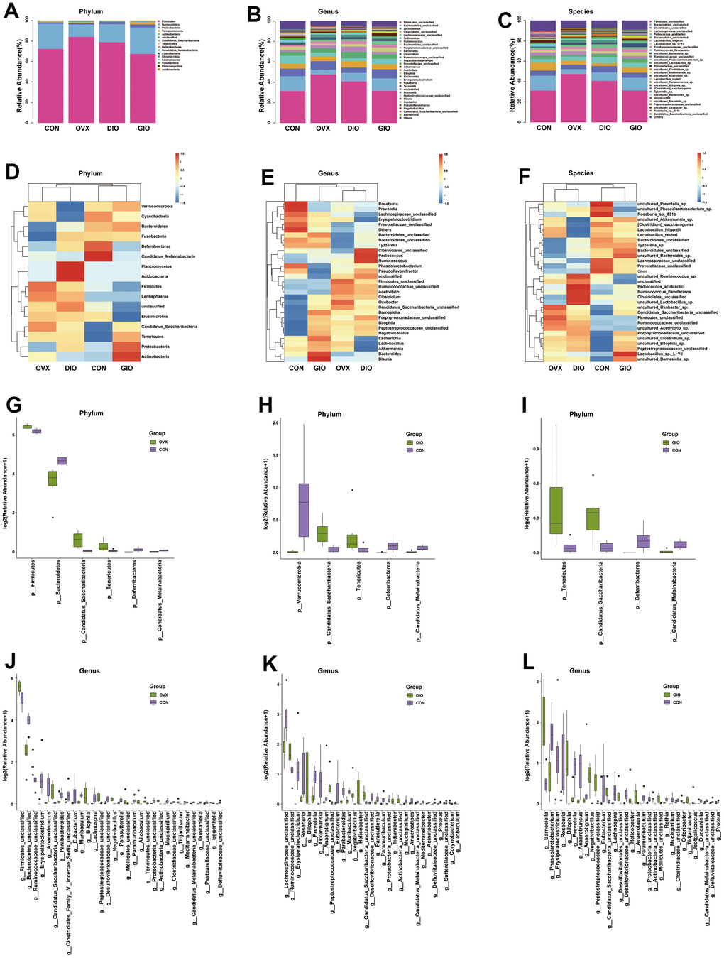 (A–C) Stacked bar chart showing bacterial phylum, genus, and species in GM. (D–F) Heat map showing bacterial phylum, genus, and species. (G–I) Significant phylum-level GM differences. (J–L) Significant genus-level GM differences; n = 6.