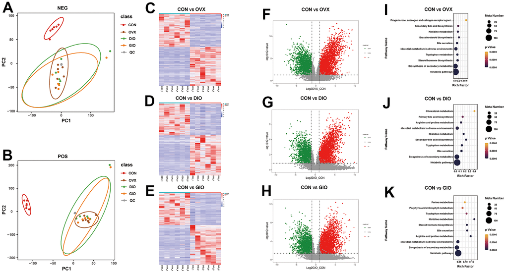 (A, B) PCA of fecal metabolites. (C–E) Heat map of differential fecal metabolites. (F–H) Volcano map of differential fecal metabolites. (I–K) Bubble diagram of KEGG enrichment analysis; n = 6.