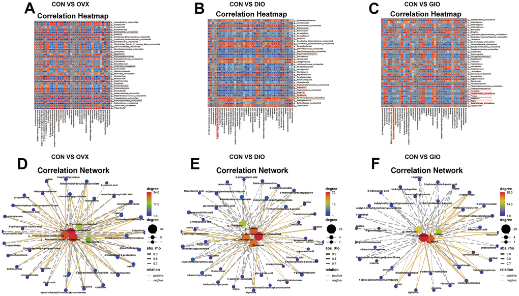 (A–C) Correlation heat map between differential bacterial genera and fecal metabolites associated with lipid and amino acid metabolism in top ten KEGG enrichment analysis; |r| > 0.6; P D–F) Correlation network map of differential bone metabolism-related bacterial genera and fecal metabolites associated with lipid and amino acid metabolism in top ten KEGG enrichment analysis; |r| > 0.6; P 