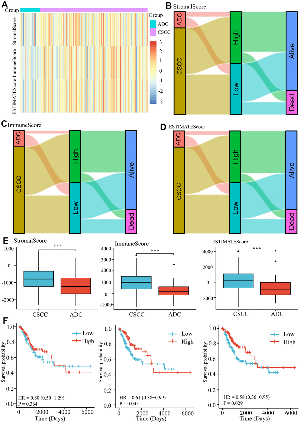 Measurement of microenvironment scores of CSCC and ADC cohorts. (A) The estimated StromalScore, ImmuneScore, and ESTIMATEScore of each cervical patient. (B) The Sankey diagram represents the relationships between pathological types, StromalScore and survival outcomes in cervical patients. (C) The Sankey diagram represents the relationships between pathological types, ImmuneScore and survival outcomes in cervical patients. (D) The Sankey diagram represents the relationships between pathological types, ESTIMATEScore, and survival outcomes in cervical patients. (E) The StromalScore, ImmuneScore, and ESTIMATEScore of CSCC and ADC cohorts. (F) The impacts of different microenvironment scores on survival in cervical cancer. *** P .